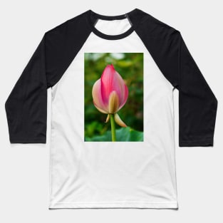 Lotus bud Baseball T-Shirt